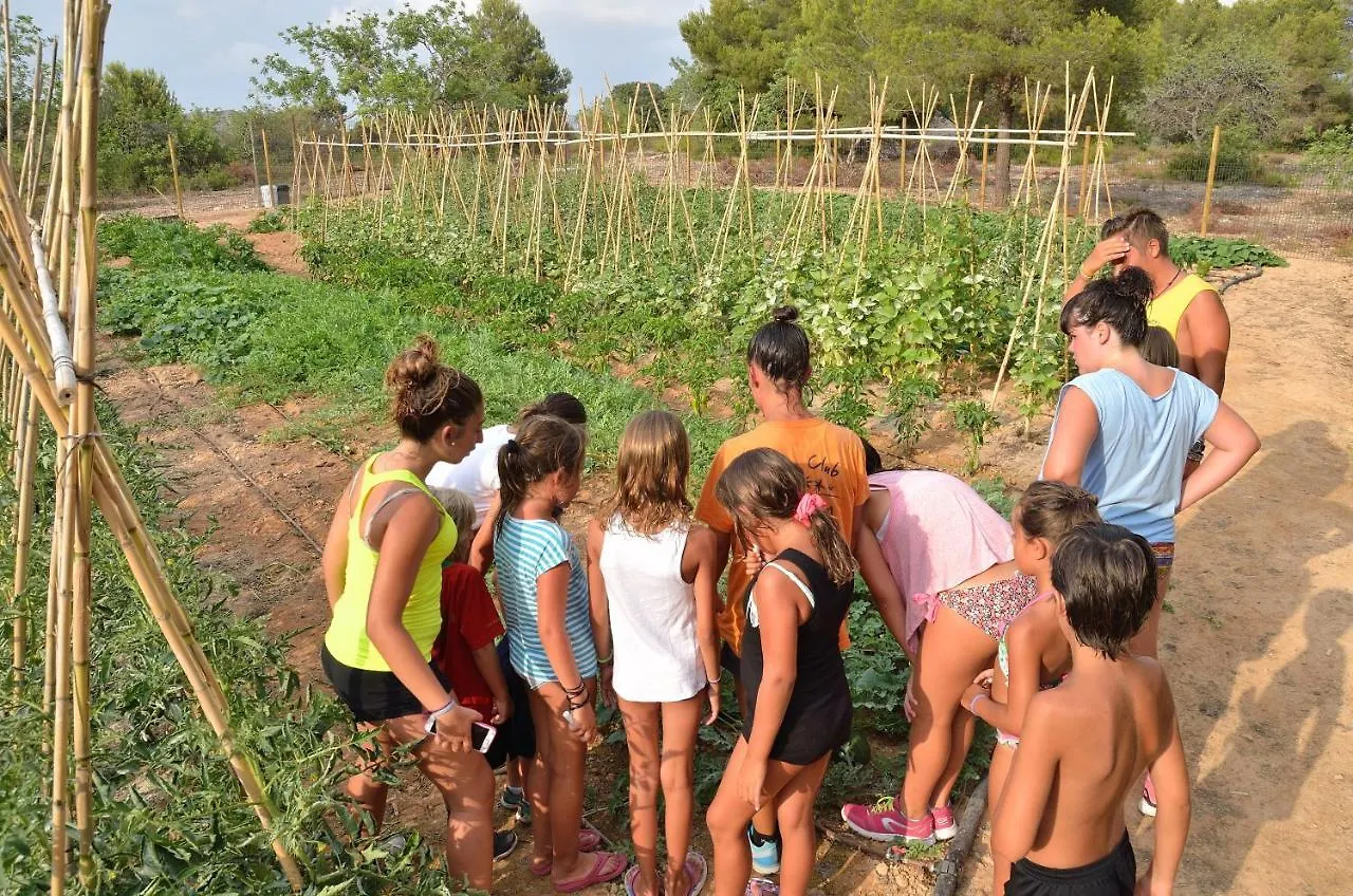Camping Las Palmeras Tarragona